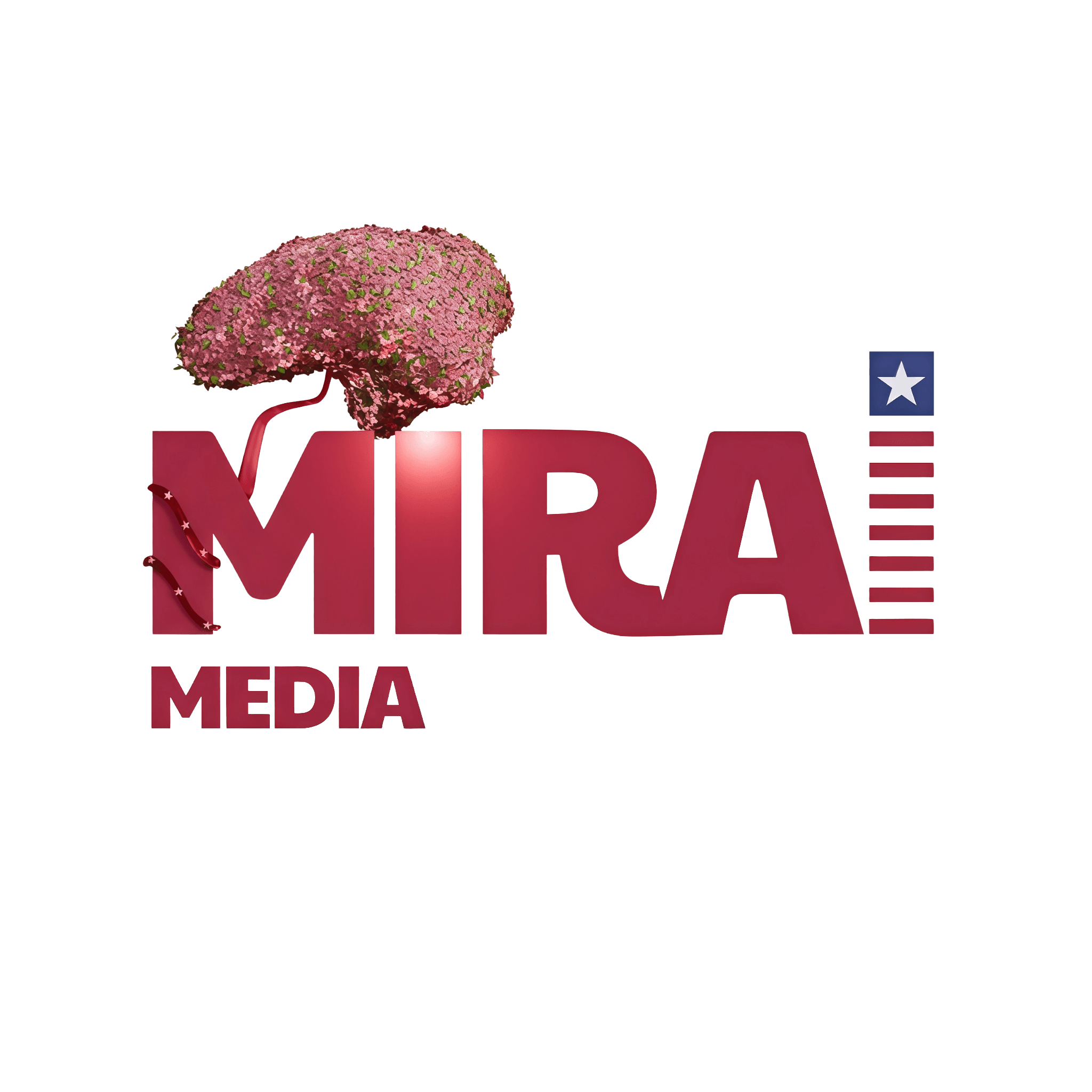 Mirai Media